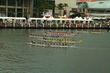Dragonboat Race Darling Harbour