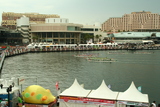 Dragonboat Race Darling Harbour