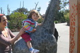 Riding the giraffe